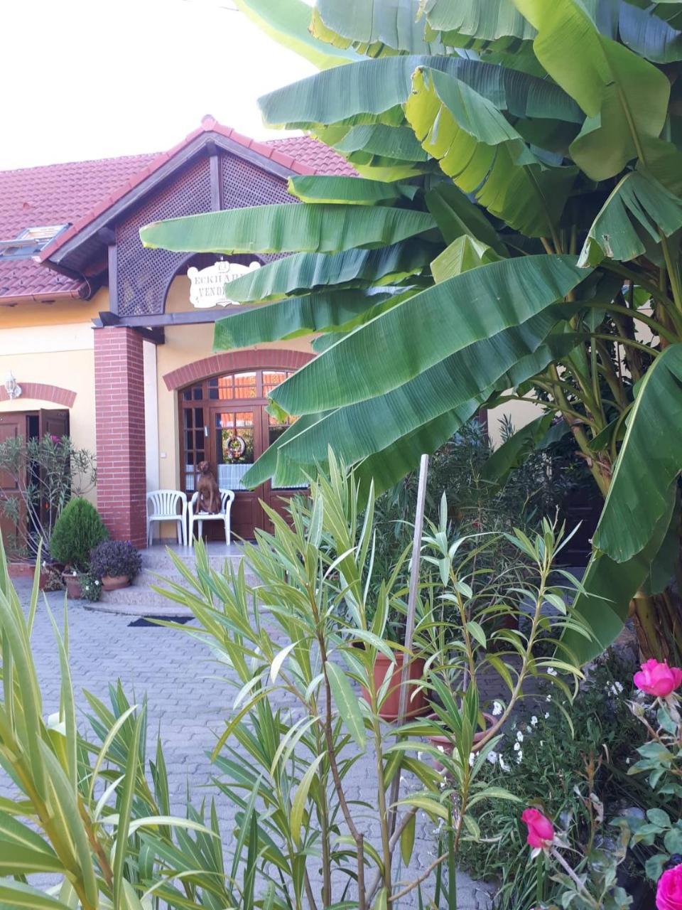 Eckhardt Vendeghaz Hotel Villany Ngoại thất bức ảnh